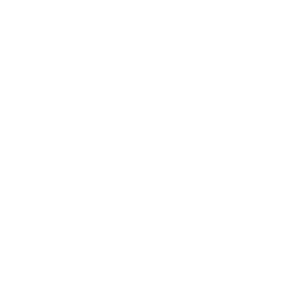 En enkel vit kontur av ett lejonhuvud vänt åt höger, med texten "LEJONGÅRDAR FAMILJEHEM" under, mot en ljus bakgrund.