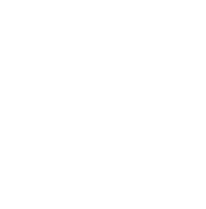 Vit konturteckning av ett lejonhuvud i profil mot höger, med ordet "LEJONGÅRDAR" i versaler och "HVB" under, allt på en ljusgrå bakgrund.